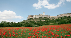 basilica san Francesco Assisi