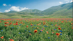 monti sibillini