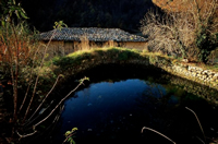 mulino trekking