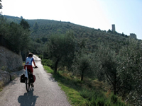 sentiero ulivi