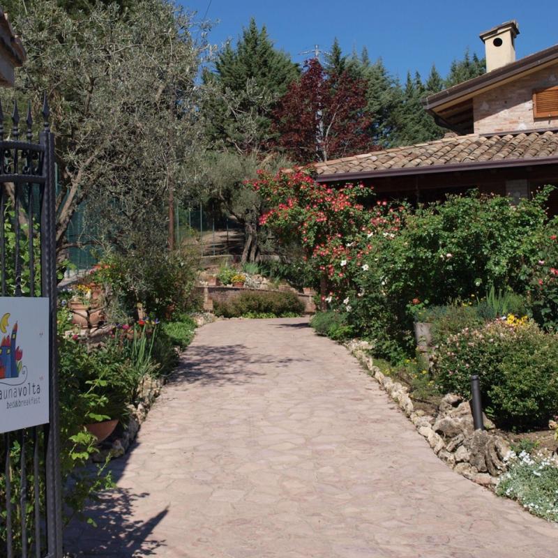 A warm welcome at the main entrance path leading through the green garden.